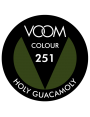 VOOM 251 UV Gel Polish Holy Guacamoly